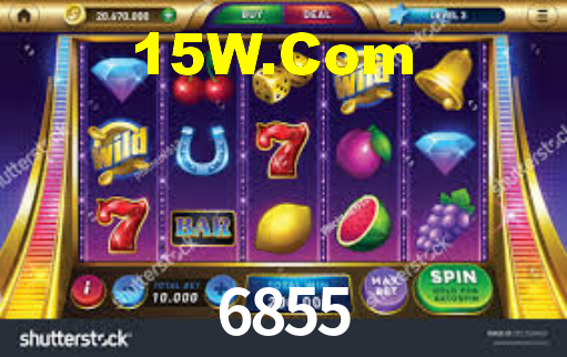 6855 App Interface