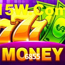 Programa VIP 6855